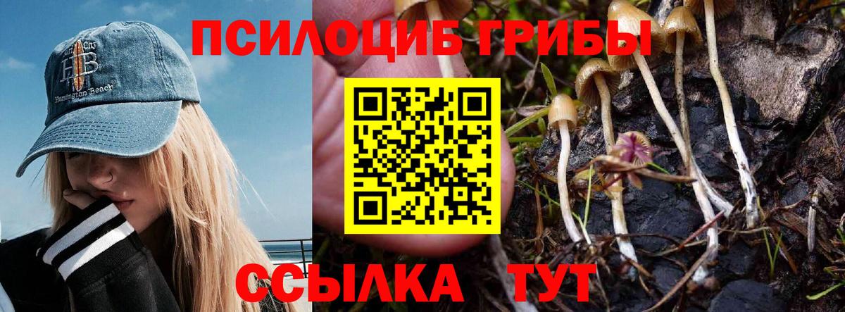 Псилоцибиновые грибы ЛСД Строитель